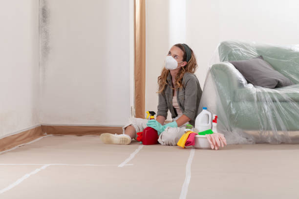 Reliable Mold Inspection And Testing contractor in Falls Church, VA by Car Mold Remediation